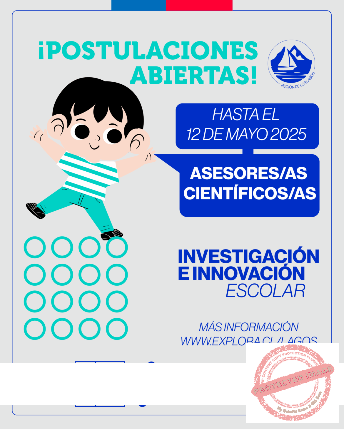 POSTULACION ASESORES CIENTÍFICOS-01